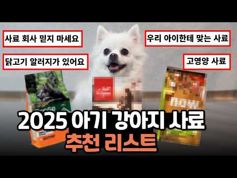 강아지 근육 성장 돕는 고단백 사료, 오리젠 퍼피 파헤치기