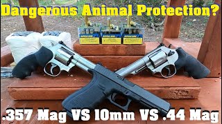 🐻Dangerous Animal Protection?💥💥 .357 Mag VS 10mm VS .44 Mag💥💥