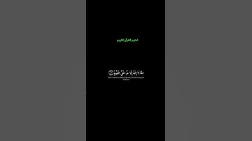 ماشاء الله تبارك الرحمن احترم القرآن الكريم ❤️ #تلاوة_هادئة 💪💯💯❤️❤️💪💪👍👍