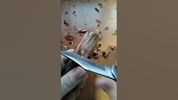 I tried to carve an owl 🦉 #carve #owl #blankasan