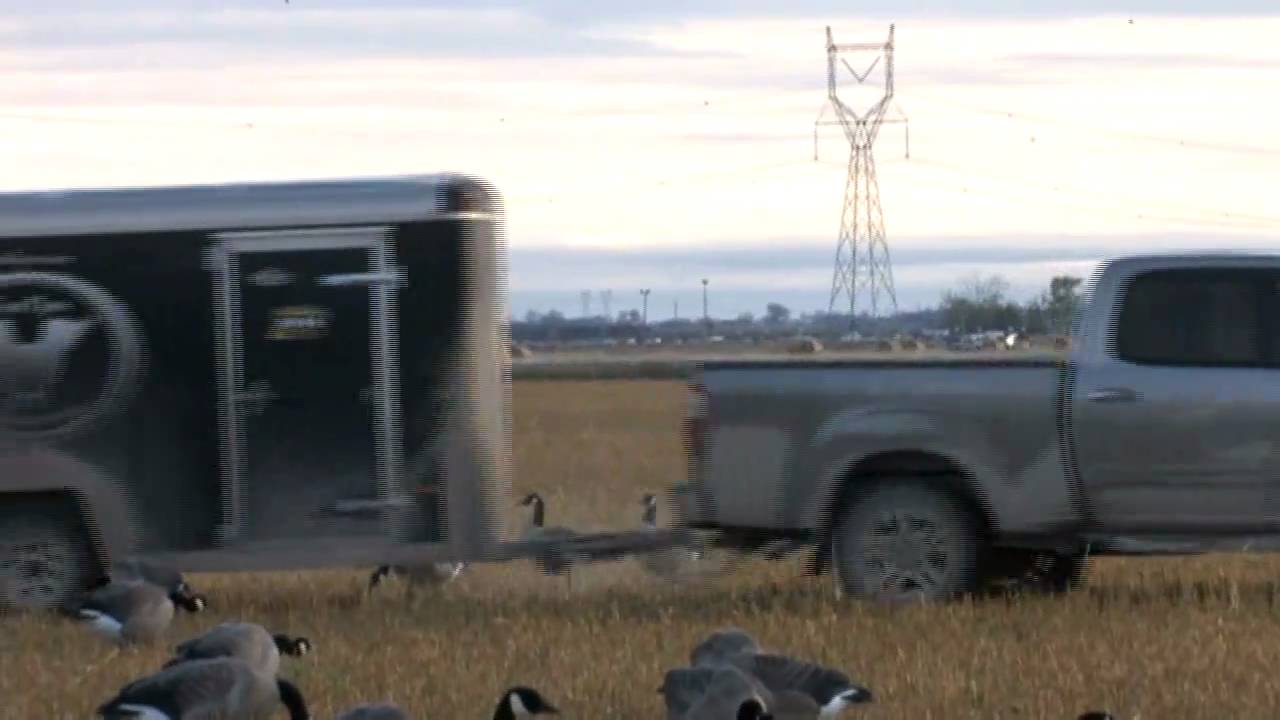 isode 5 Phenomenal Canada Goose Hunt YouTube