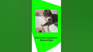 Постійна підтримка бухгалтера 