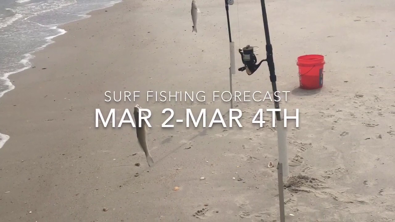 Surf fishing forecast northeast florida