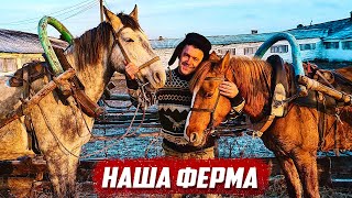 Со времён СССР на ферме ничего не изменилось! | Орловская обл, Колпнянский р/н д.Удеревка