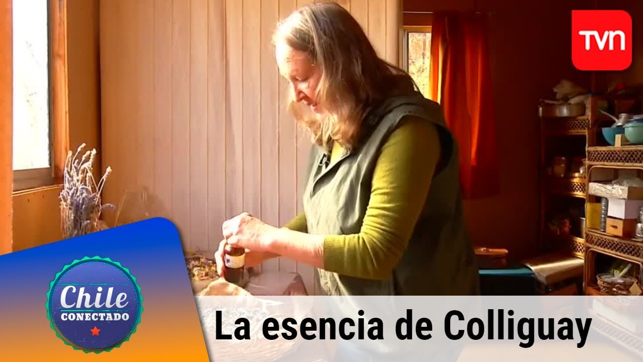 La esencia de Colliguay | Chile conectado | Buenos días a todos