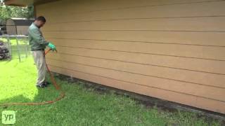 Greenforest Termite & Pest Control | Dallas, TX
