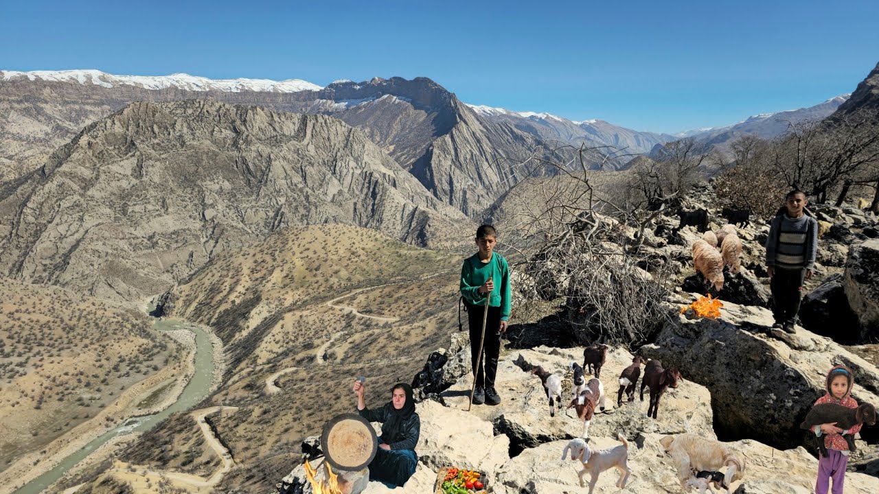 Кочевой образ жизни | Миграция овец на высокие заснеженные горные вершины с матерью и детенышами ❄️🐑