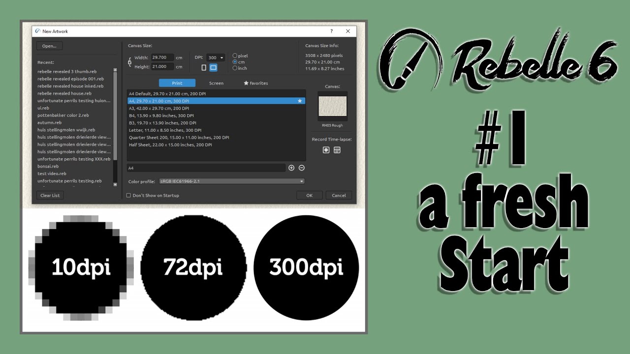Rebelle Revealed Episode 1 - Choosing and Setting up the right Canvas for  your Artwork
