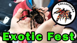 Exotic Fest Poznań‼️ Moje stoisko ! 😉 by TOLLSPIDERS 1,187 views 2 years ago 1 minute, 9 seconds