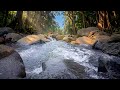🌿 Lofi Chill Nature Beats 🌊 Cozy River Ambience for Study, Sleep and Relaxation #relaxing #nature