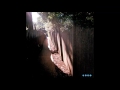 Pinegrove - Meridian (Full Album)