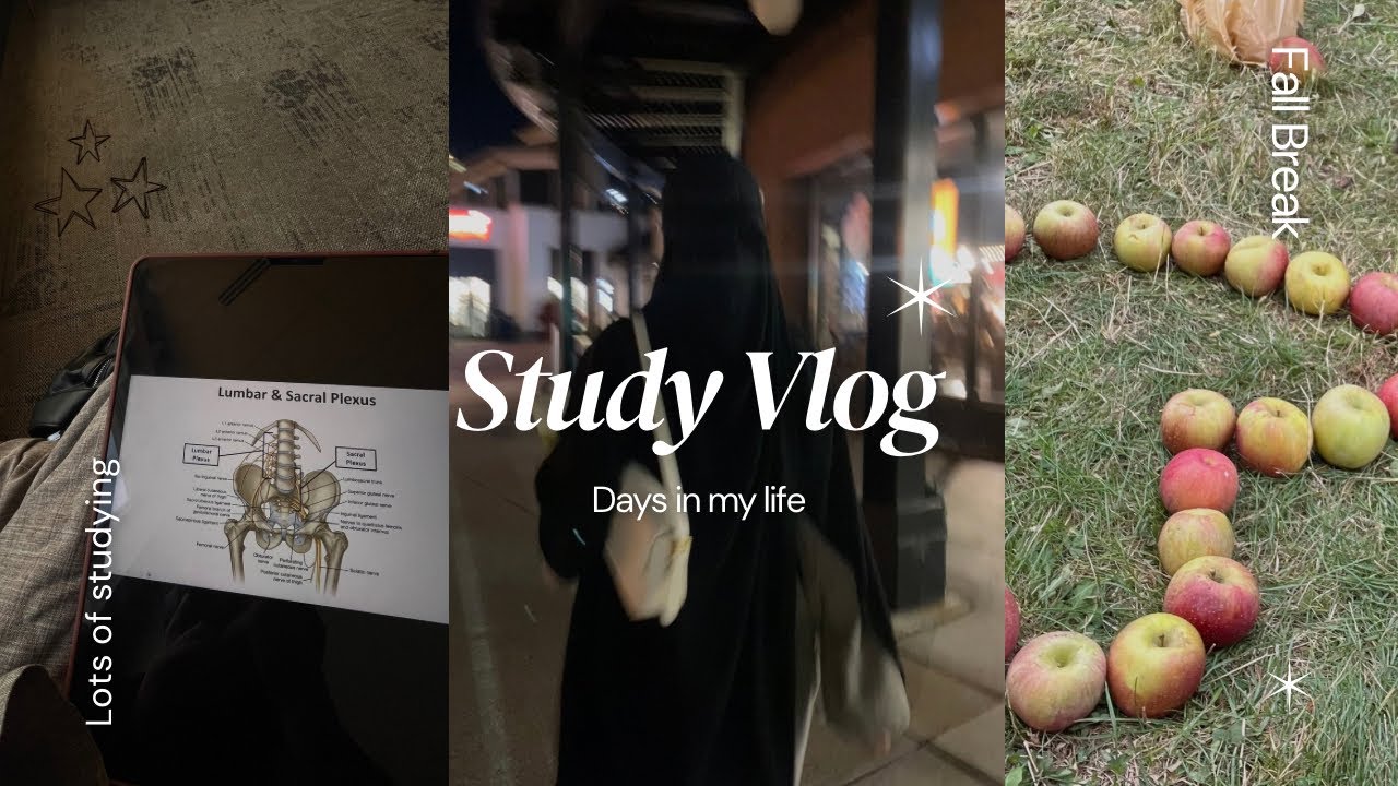 Days in my life | Studying, midterms & apple picking 🍎🍂