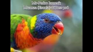 Mr-pedro lameck Muanza_Escola_(Audio)