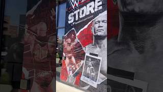 WWE Backlash 2025 highlights w/ WWE Store St Louis vlog
