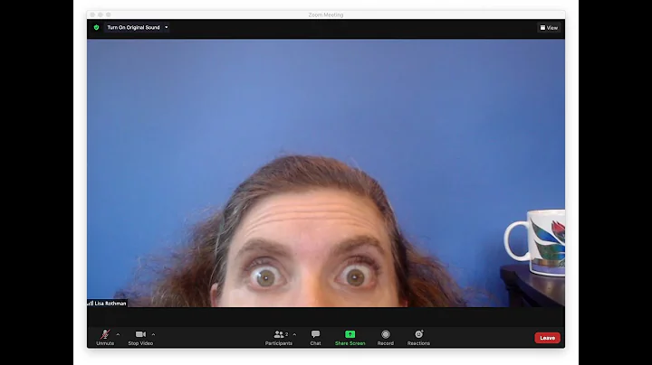 A Taste of the Virtual Happy Hour with Lisa Rothman