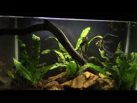 Fish Store Tour The Ocean Floor In Phoenix Az Youtube