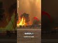 Fire Tornado: How Fire Creates a Twisting Storm 🔥🌪️