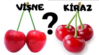 🍒 Vi̇şne İle Ki̇razi Nasil Ayirt Edebi̇li̇ri̇m ? Çok Basi̇t