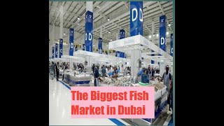 Dubai Water Front Market. The Fish Market In Dubai