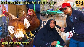 Lalukhet Hen and Rooster Exotic Birds Market 31223 Part 1 Karachi | أكبر سوق للطيور