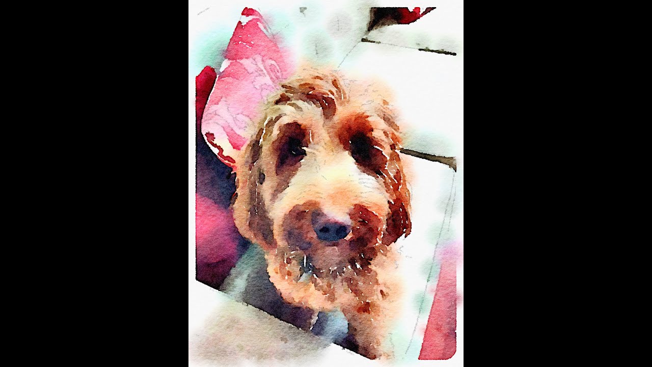 "Do Dogs Hold Grudges?" YouTube