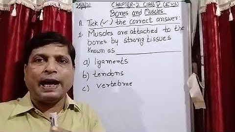Class V EVS 25 06 2021 by Mr Rupesh Chapter 2 Bones and muscles