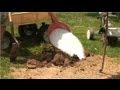 Preparing Your Garden : How to Break New Ground for a Garden Preparing Your Garden : How to Break New Ground for a Garden
