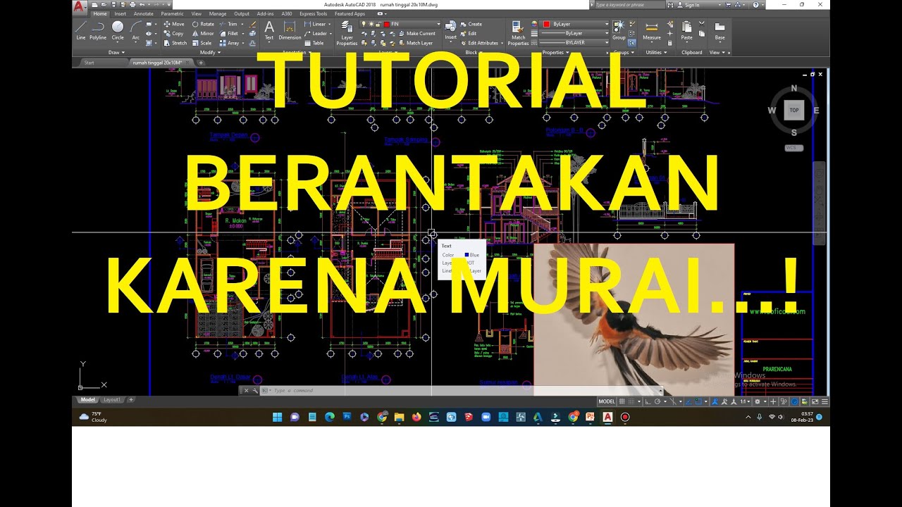 TUTORIAL AUTOCAD BERANTAKAN KARENA tembakan MURAI..!! - YouTube