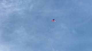 Premier 11ft patriotic delta kite with 3 matching 50ft tails. screenshot 3