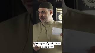 История Сулеймана (мир ему). #сулейман #quran #исламскиезнания #аллах #islamicvideo