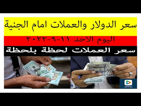 اسعار الدولار والعملات اليوم في مصر الاحد 11 سبتمبر 2022