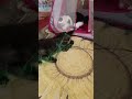 І це правда . Подумай і зроби висновок