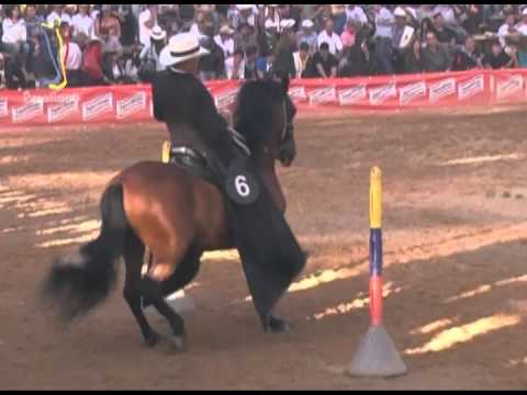 Trocha Y Galope - Bucefalo de Vuelta Grande, Expooriente 2013
