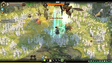 Tree Of Savior CBT2 - Krivis Gameplay 4 vs Biteregina