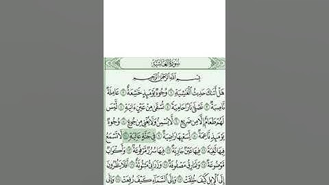 @علي جابر_Ali Jaber سورة الغاشية