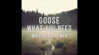 Goose - What You Need Mike Tohr Remix
