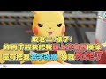 【魯蛋精華】佛心企業火箭隊 -11/17 NS Pokemon: Let's Go