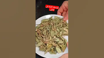 وصفة لانزال الجنين الذي توقف النبض ديالو وصفة ناجحة 