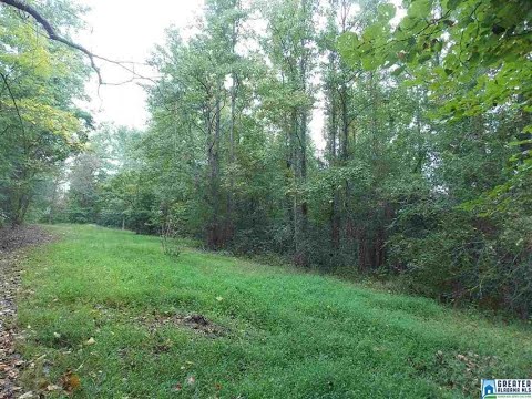 7 acres, Blountsville, AL home video tour