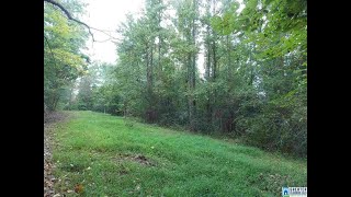 7 acres video tour