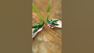 Con cào cào bằng lá dừa #shorts #youtubeshorts #ladua #caocaoladua