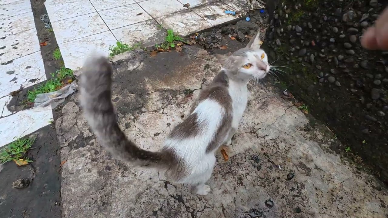 She Was Too Shy… Until I Did This