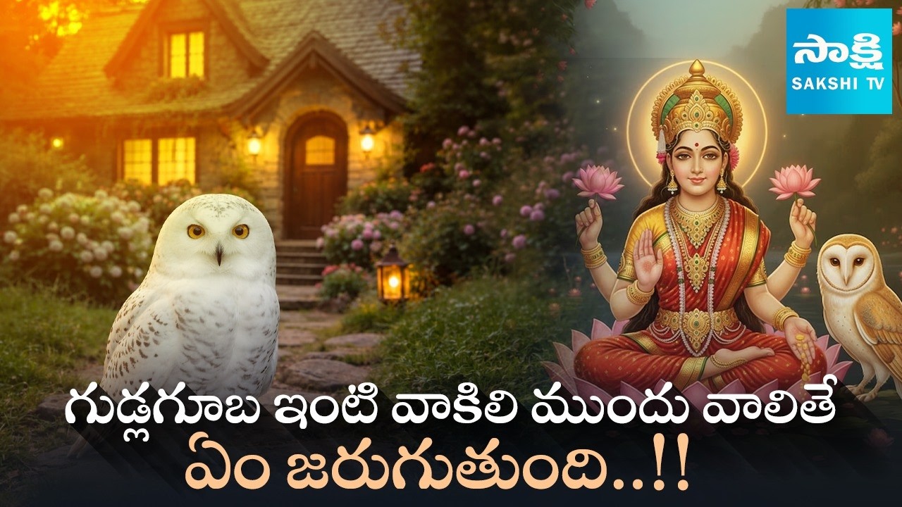 గుడ్లగూబ ఇంటి వాకిలి ముందు వాలితే..! What Happens If an Owl Sits at Your House Entrance..?