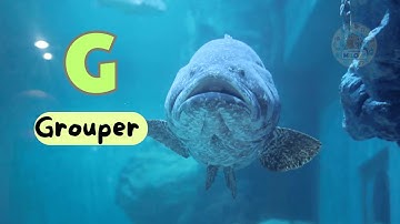 🐋 ABC Underwater Animals Part 1 | Learn with Melody 🎵 #animalsongs #learnwithmelody
