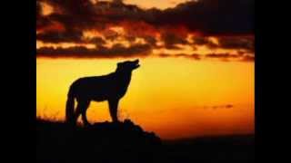 Eres Un Sueño - Temerarios Poema Mi Alma Te Esperaba