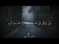 مواساه ربانيه قران ماهر المعيقلي حالات واتس اب