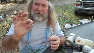 Famous Bruce Mitchell the Alligator Man Net Worth