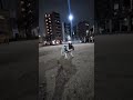 マイペースなフレブル 桜は好きじゃない? 飼い主が好きすぎるフレンチブルドッグ『ぶーちゃん日記』 #散歩 #フレブル飼い方 #フレンチブルドッグ #frenchton