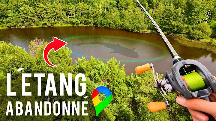 Cet étang abandonné cache une grosse surprise !! (pêche au leurre)