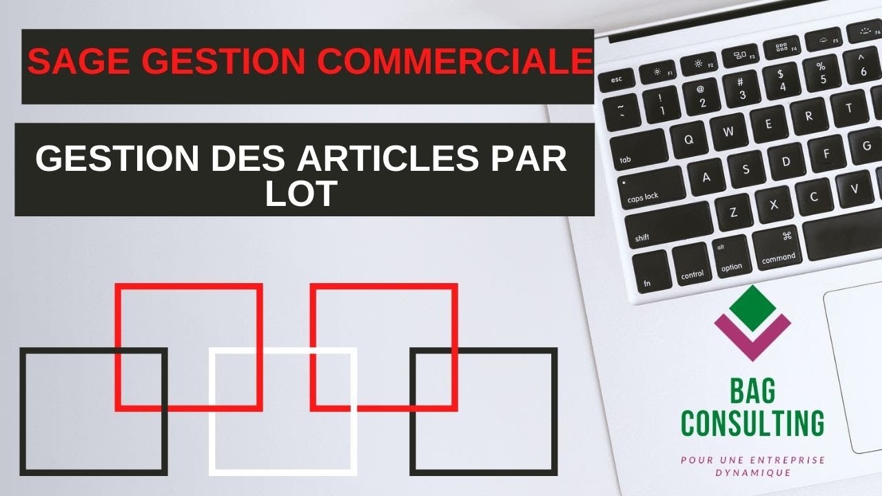 SAGE GESTION COMMERCIALE I7: GESTION DES ARTICLES PAR LOT